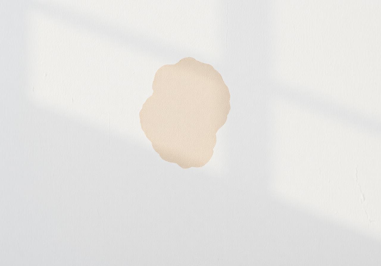 Tache d'humidité sur un mur peint en blanc